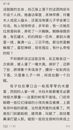 菲律宾出生的儿童如何回国？儿童出境之前需要办理哪些手续？